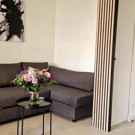 Beautiful 2p 39 M2, Ac, Balcony شقة