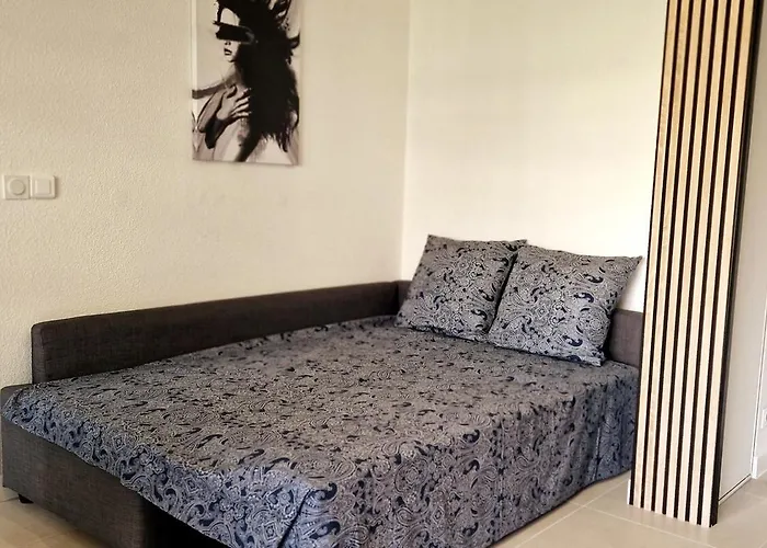 Beautiful 2p 39 M2, Ac, Balcony 公寓